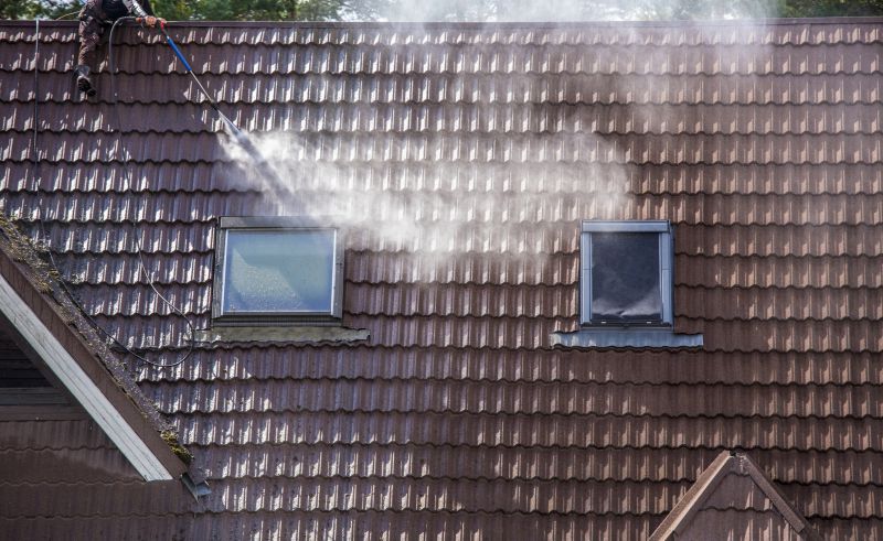 Roof Cleaning Services