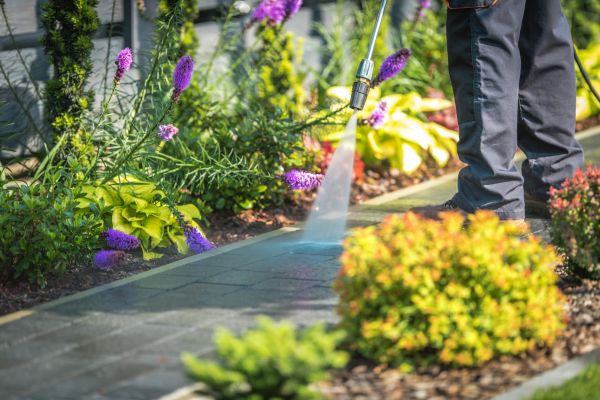 Cost of Sidewalk Pressure Washing in Charlotte