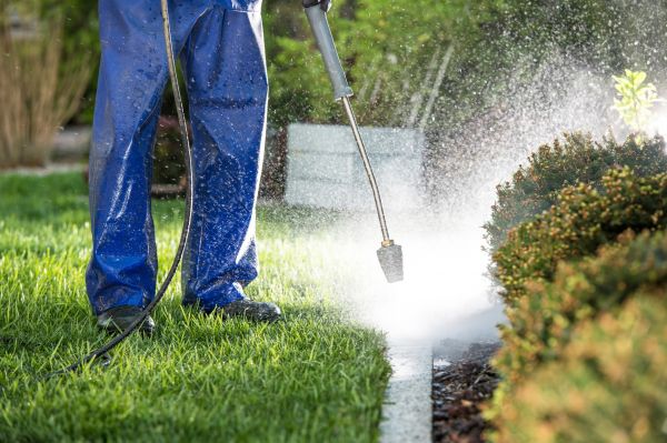 Cost of Curb Cleaning in Charlotte
